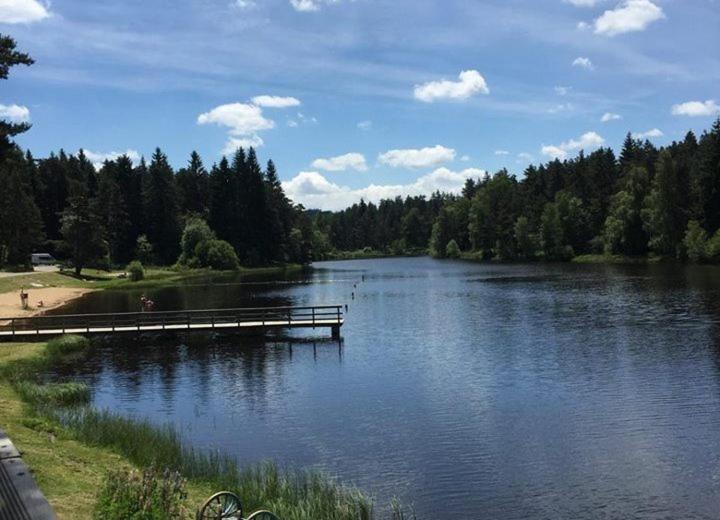 Gite Des 3 Etangs Malvières Kültér fotó